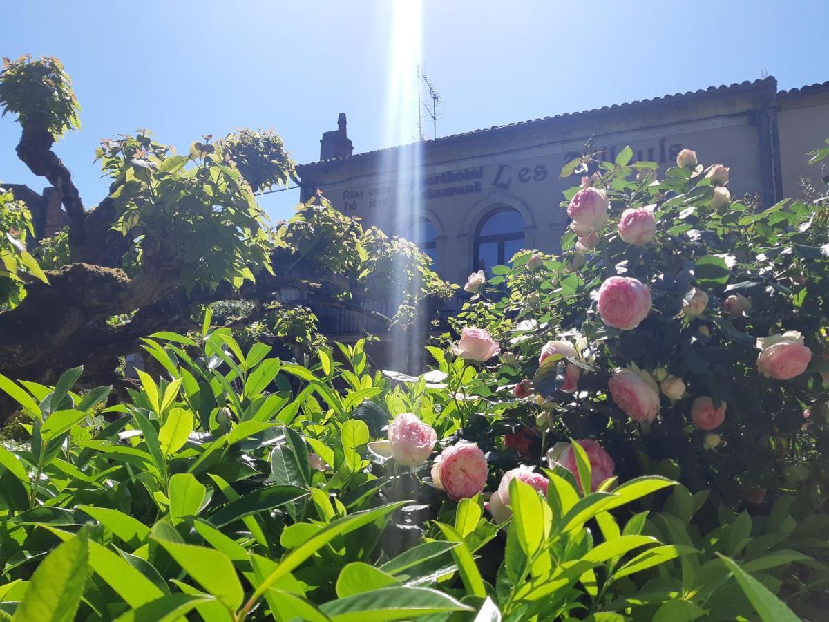 Appart'Hotel Les Tilleuls Saint-Macaire Exterior foto
